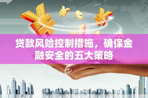 玉树贷款风险控制措施，确保金融安全的五大策略