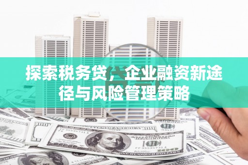玉树探索税务贷，企业融资新途径与风险管理策略