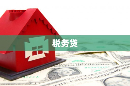 玉树税务贷