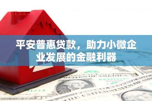 玉树平安普惠贷款，助力小微企业发展的金融利器