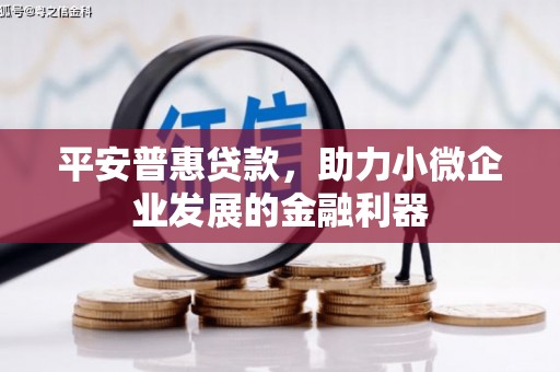 玉树平安普惠贷款，助力小微企业发展的金融利器