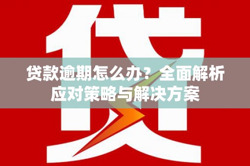 玉树贷款逾期怎么办？全面解析应对策略与解决方案