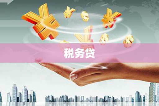 玉树税务贷