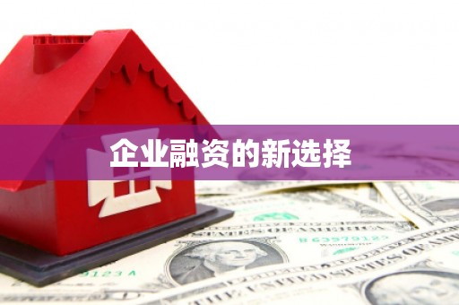 玉树企业融资的新选择