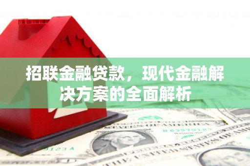 玉树招联金融贷款，现代金融解决方案的全面解析