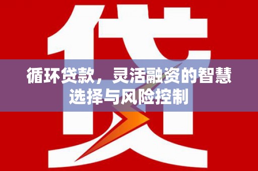 玉树循环贷款，灵活融资的智慧选择与风险控制