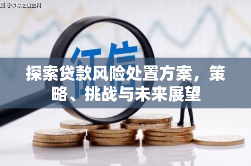 玉树探索贷款风险处置方案，策略、挑战与未来展望