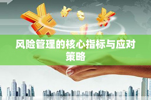 玉树风险管理的核心指标与应对策略