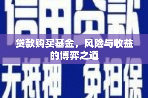 玉树贷款购买基金，风险与收益的博弈之道