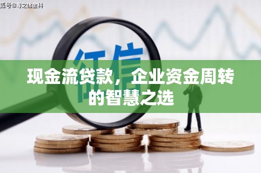 玉树现金流贷款，企业资金周转的智慧之选