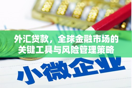玉树外汇贷款，全球金融市场的关键工具与风险管理策略