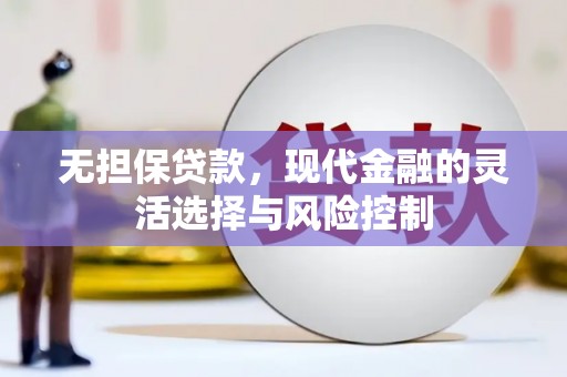 玉树无担保贷款，现代金融的灵活选择与风险控制