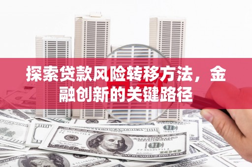 玉树探索贷款风险转移方法，金融创新的关键路径
