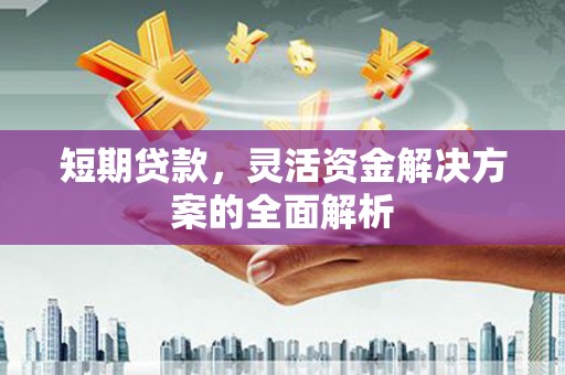 玉树短期贷款，灵活资金解决方案的全面解析