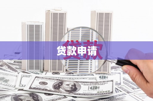玉树贷款申请