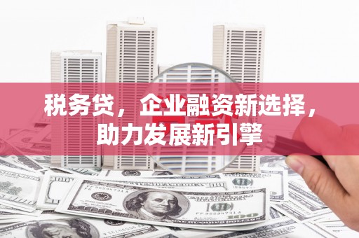 玉树税务贷，企业融资新选择，助力发展新引擎