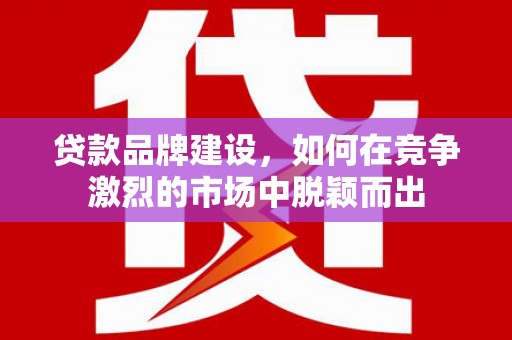 玉树贷款品牌建设，如何在竞争激烈的市场中脱颖而出