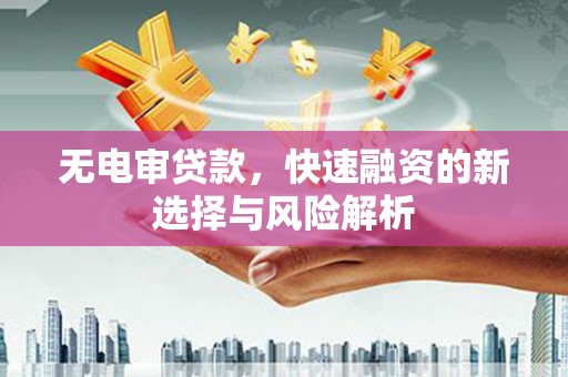 玉树无电审贷款，快速融资的新选择与风险解析
