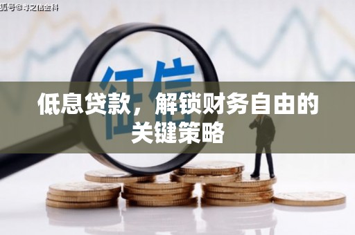 玉树低息贷款，解锁财务自由的关键策略