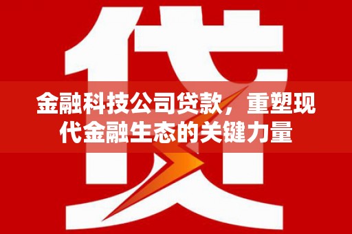 玉树金融科技公司贷款，重塑现代金融生态的关键力量