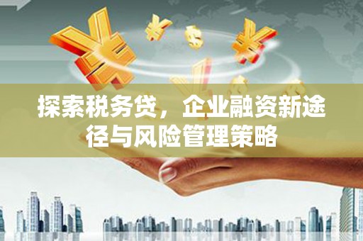 玉树探索税务贷，企业融资新途径与风险管理策略