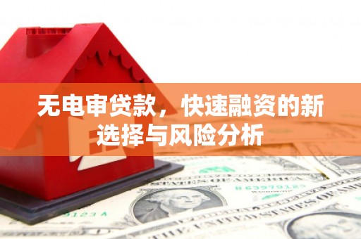 玉树无电审贷款，快速融资的新选择与风险分析