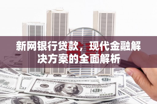 玉树新网银行贷款，现代金融解决方案的全面解析