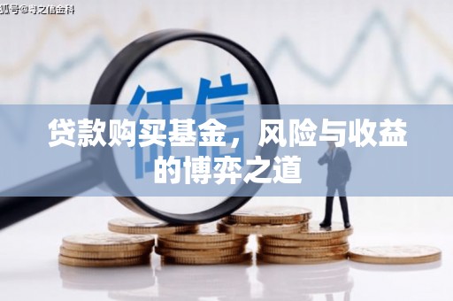 玉树贷款购买基金，风险与收益的博弈之道