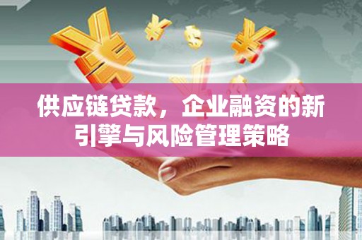 玉树供应链贷款，企业融资的新引擎与风险管理策略