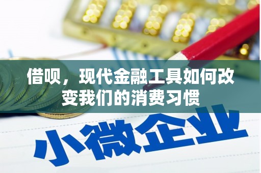 玉树借呗，现代金融工具如何改变我们的消费习惯