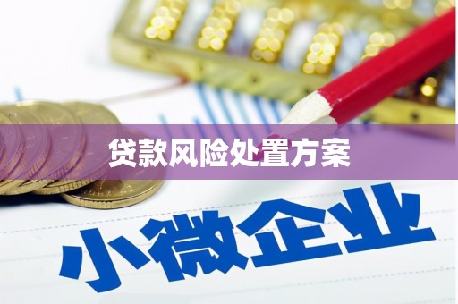玉树贷款风险处置方案