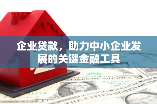 玉树企业贷款，助力中小企业发展的关键金融工具