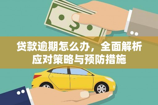 玉树贷款逾期怎么办，全面解析应对策略与预防措施