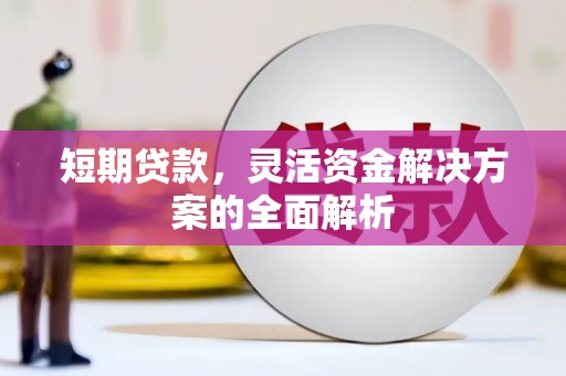 玉树短期贷款，灵活资金解决方案的全面解析