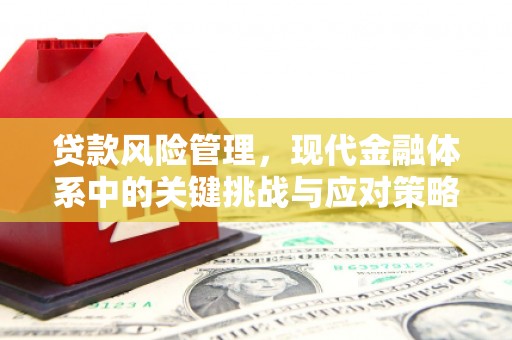 玉树贷款风险管理，现代金融体系中的关键挑战与应对策略