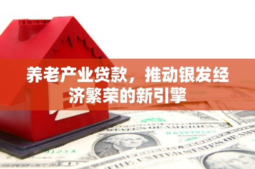 玉树养老产业贷款，推动银发经济繁荣的新引擎