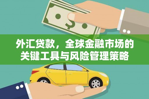 玉树外汇贷款，全球金融市场的关键工具与风险管理策略