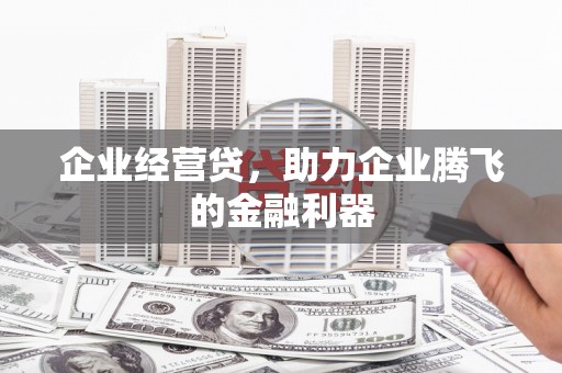 玉树企业经营贷，助力企业腾飞的金融利器