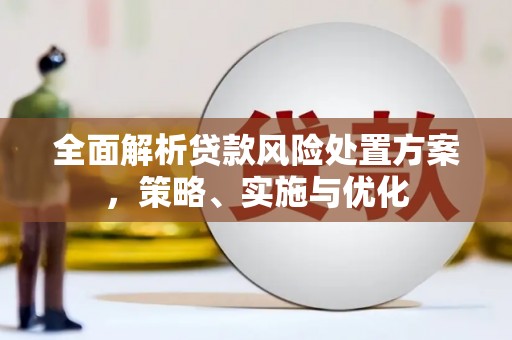玉树全面解析贷款风险处置方案，策略、实施与优化