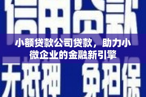 玉树小额贷款公司贷款，助力小微企业的金融新引擎