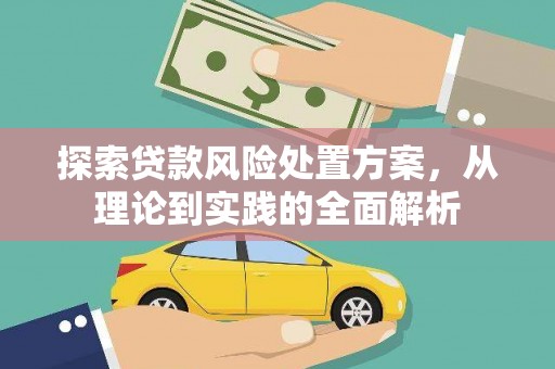 玉树探索贷款风险处置方案，从理论到实践的全面解析