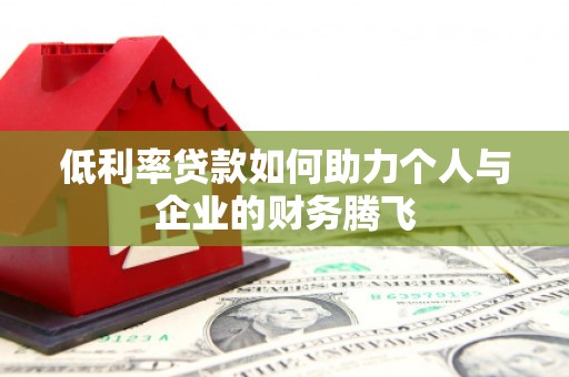 玉树低利率贷款如何助力个人与企业的财务腾飞
