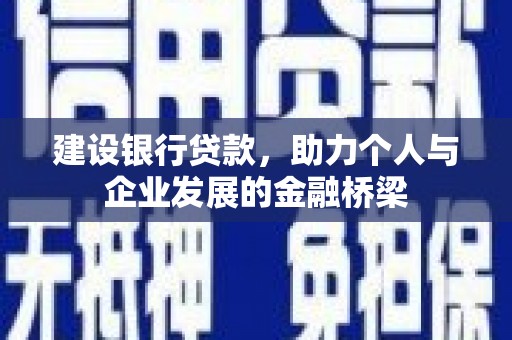 玉树建设银行贷款，助力个人与企业发展的金融桥梁