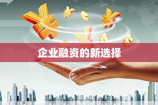 玉树企业融资的新选择