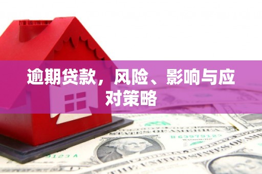 玉树逾期贷款，风险、影响与应对策略