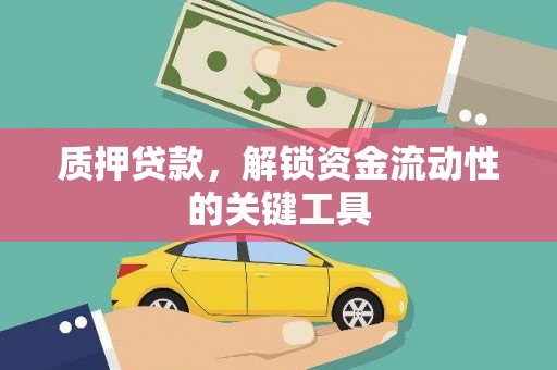 玉树质押贷款，解锁资金流动性的关键工具