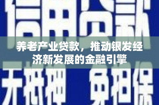 玉树养老产业贷款，推动银发经济新发展的金融引擎