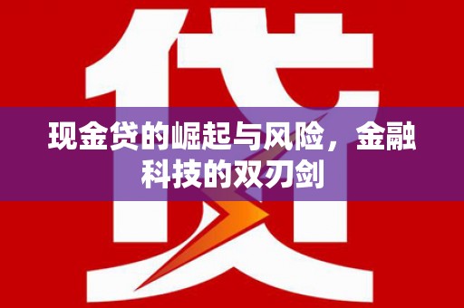 玉树现金贷的崛起与风险，金融科技的双刃剑