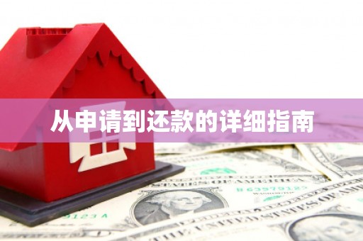 玉树从申请到还款的详细指南