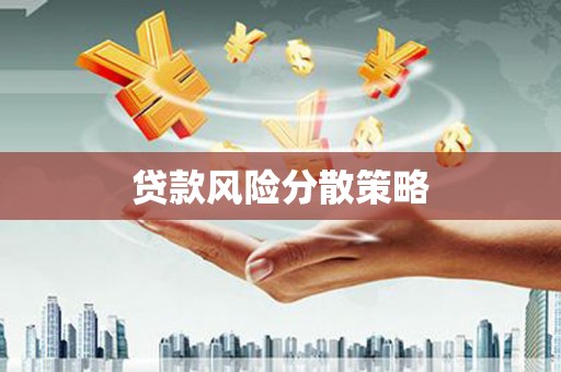 玉树贷款风险分散策略